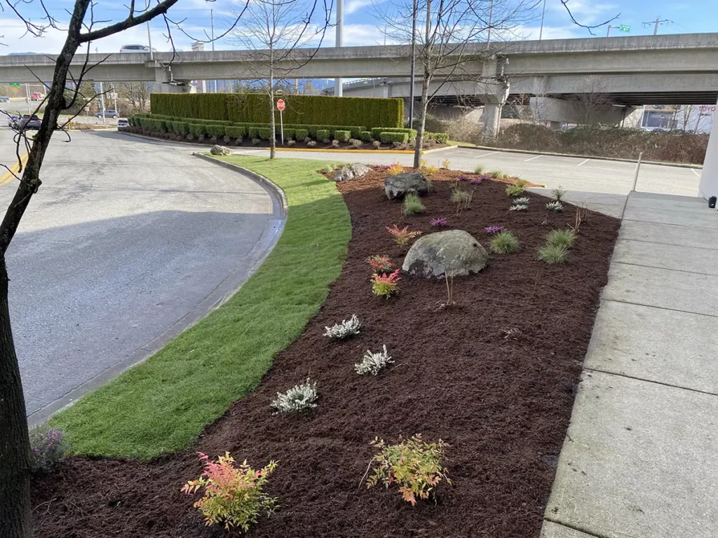 Garden Bed Maintained