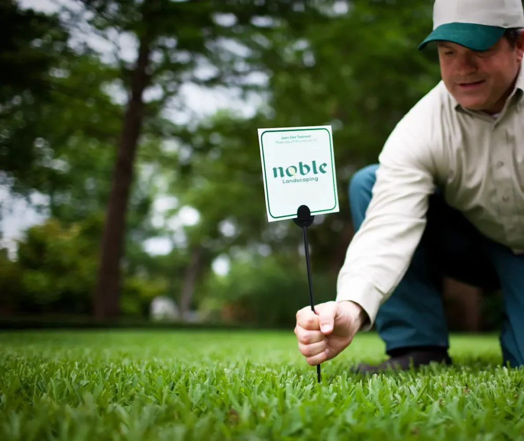 Lawn Treatment Performed By Noble Landscaping
