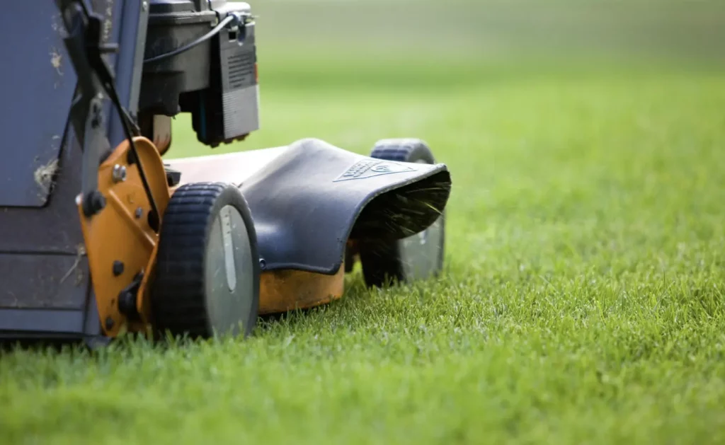Vancouver lawn mowing and lawn care. Honda Mower